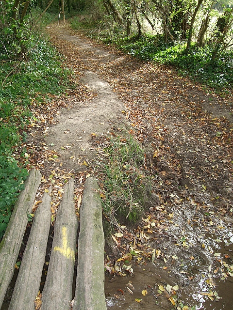 futur trail 029.jpg